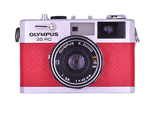 Embossed Moroccan Leather