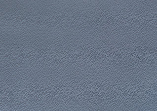 Black Stingray Leather