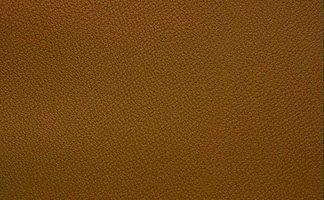 Embossed Moroccan Leather