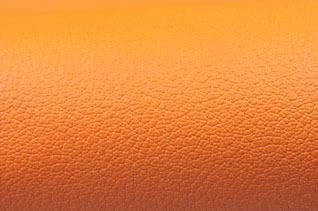 Embossed Moroccan Leather
