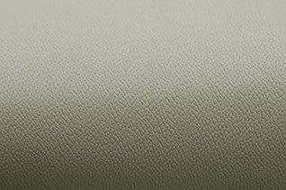 Leather With Grainy Texture