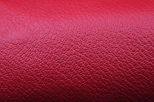 Embossed Moroccan Leather